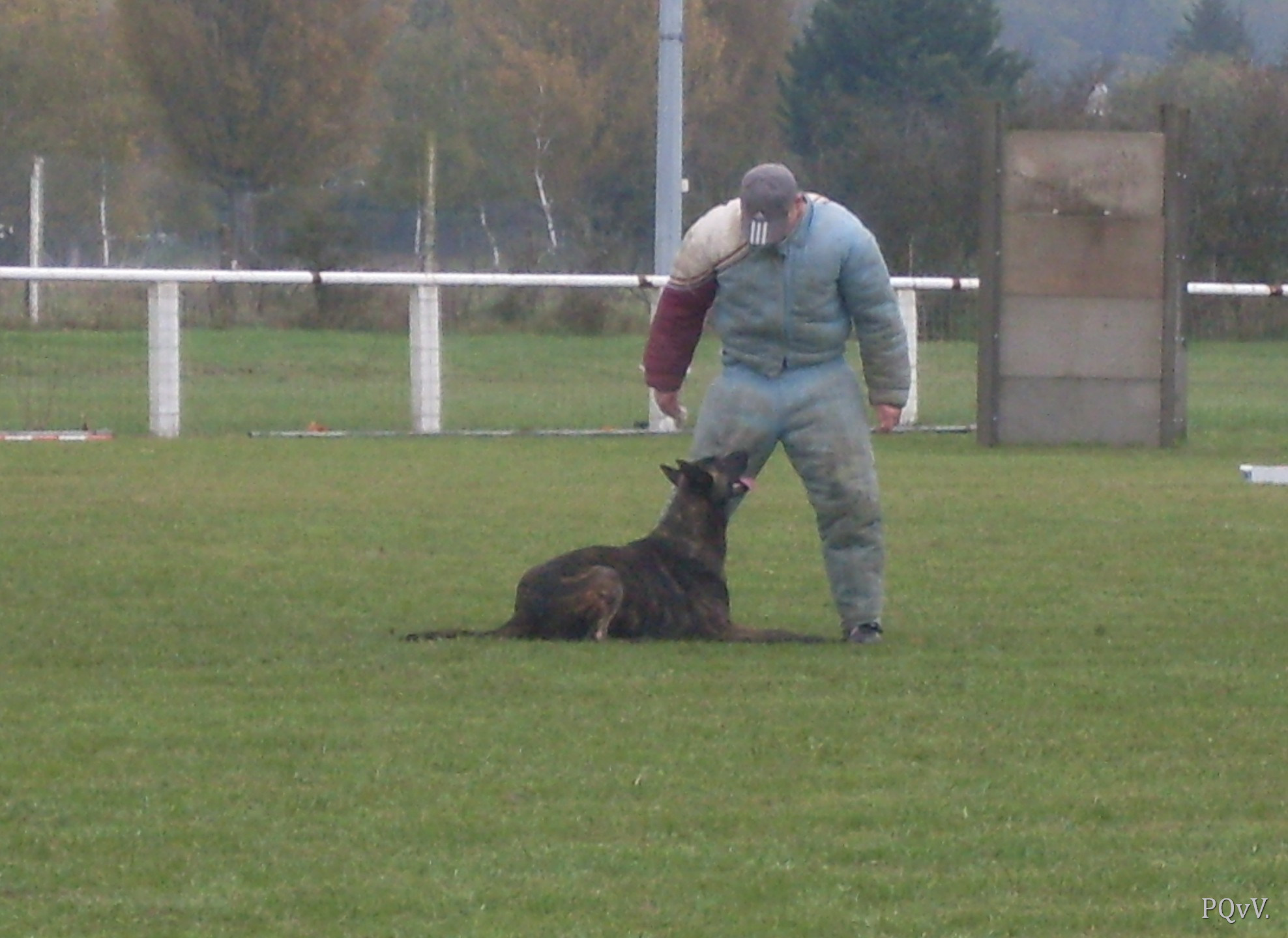  Eros des Crocs d’Olympe